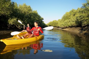 ras-al-khaimah-tourism-kayaking-mangroves