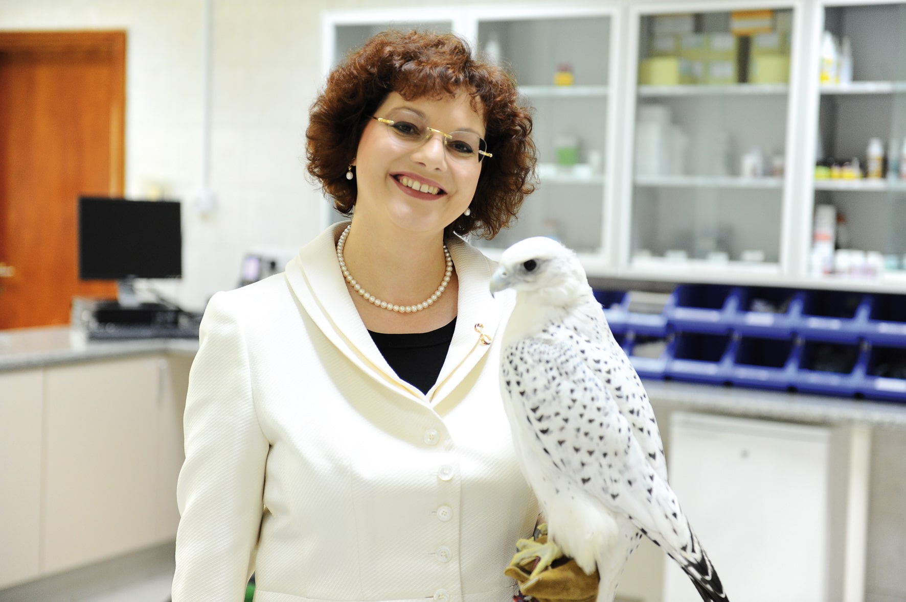 Read more about the article Abu Dhabi Falcon Hospital