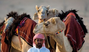 Read more about the article Sharjah  – Aufgehende Sonne